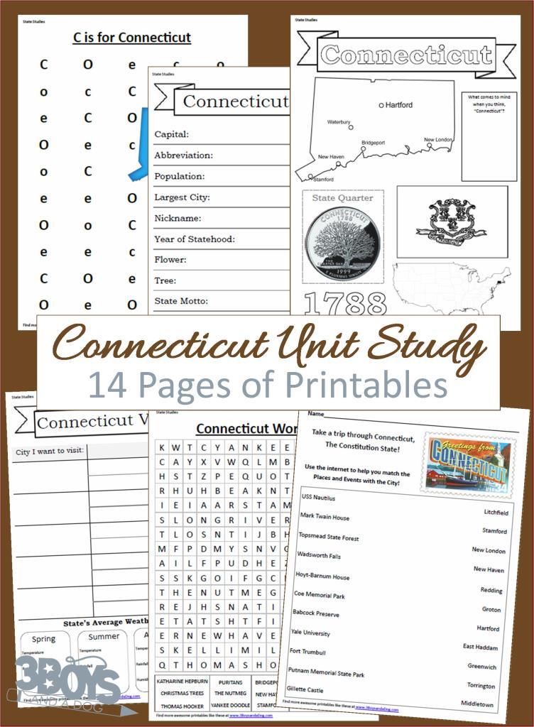 Connecticut State Unit Study