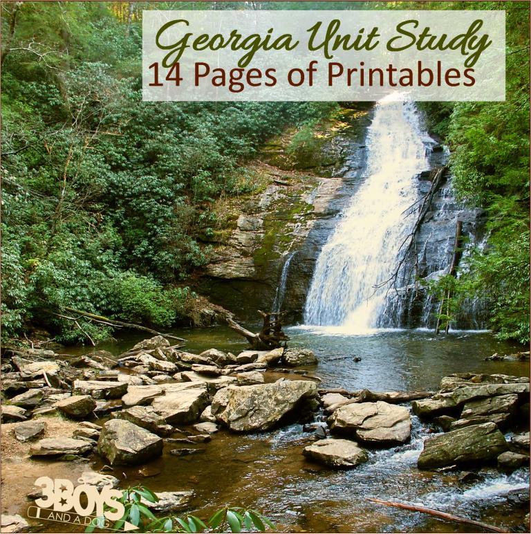 Georgia State Unit Study