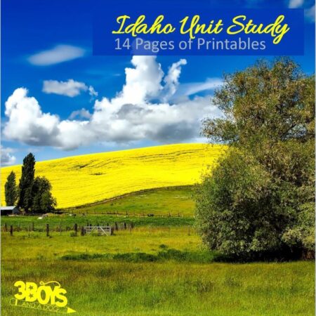 Idaho State Unit Study