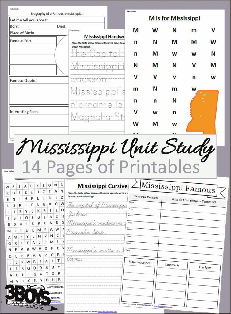 Mississippi State Unit Study