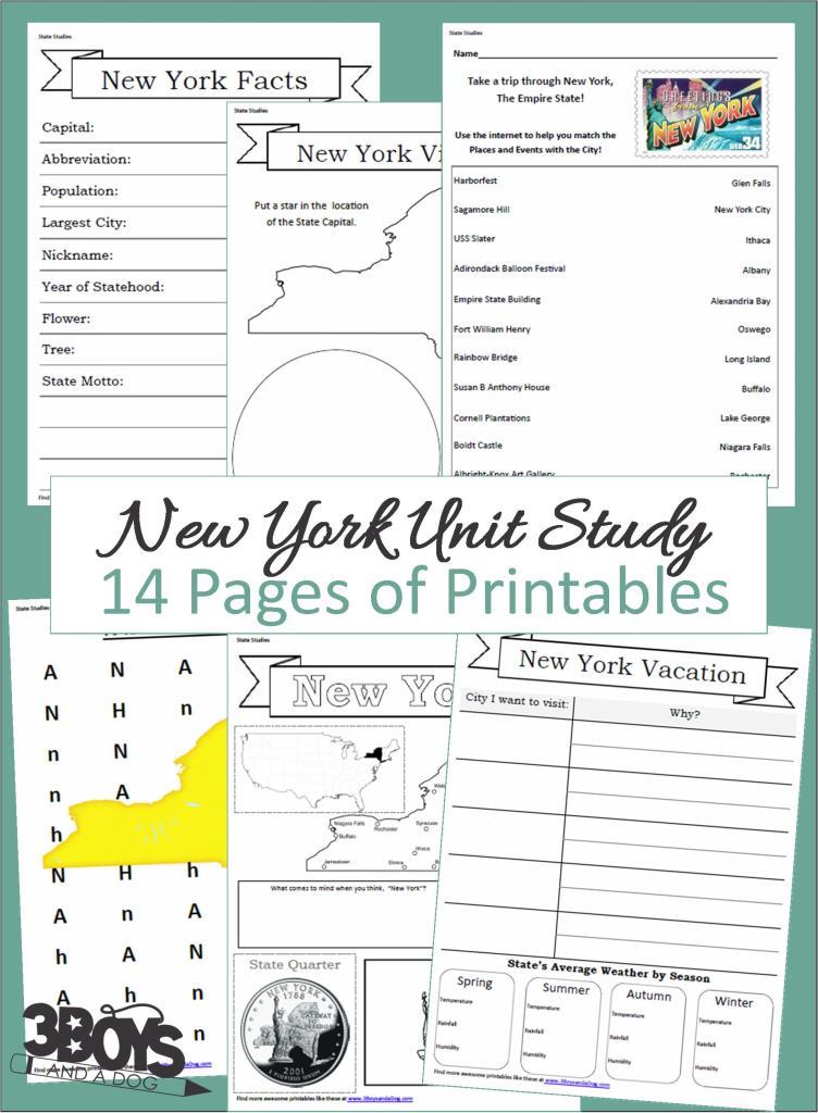 New York State Unit Study