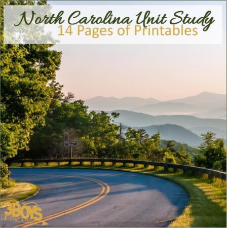 North Carolina State Unit Study