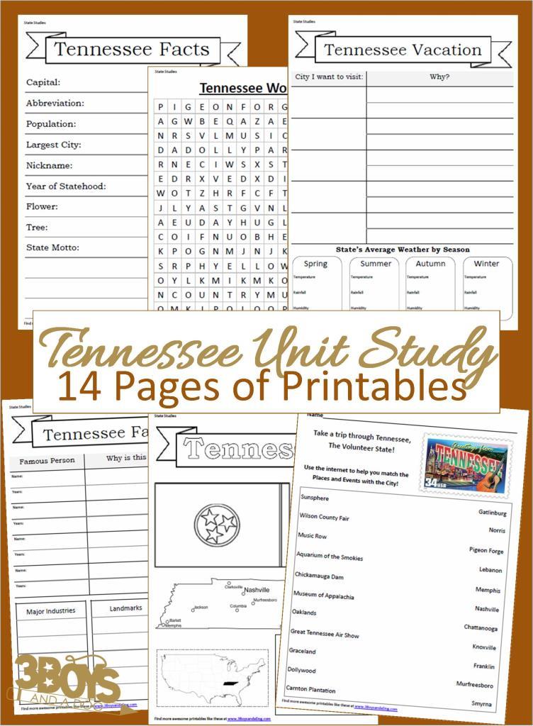 Tennessee State Unit Study
