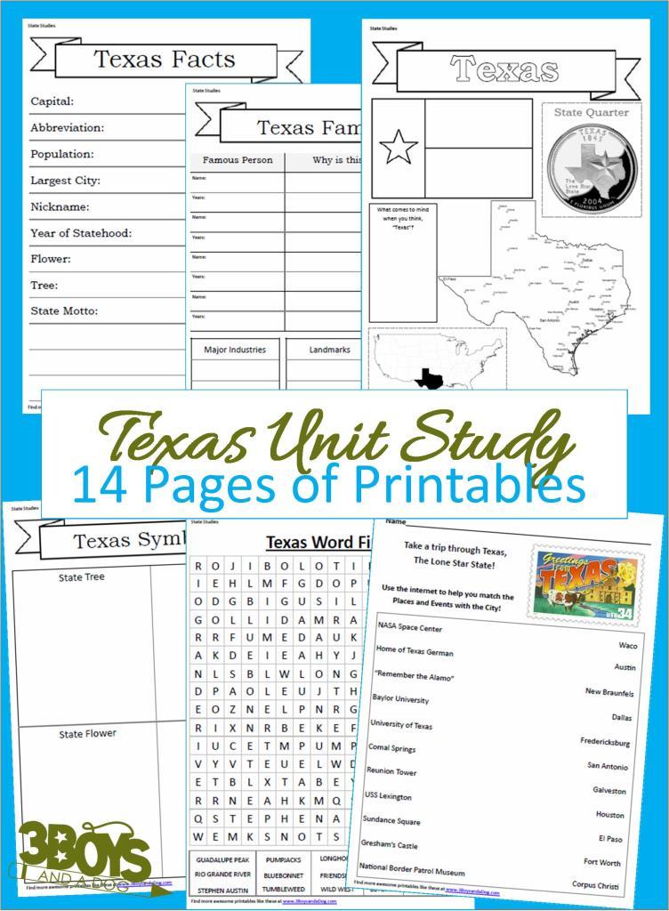 Texas State Unit Study