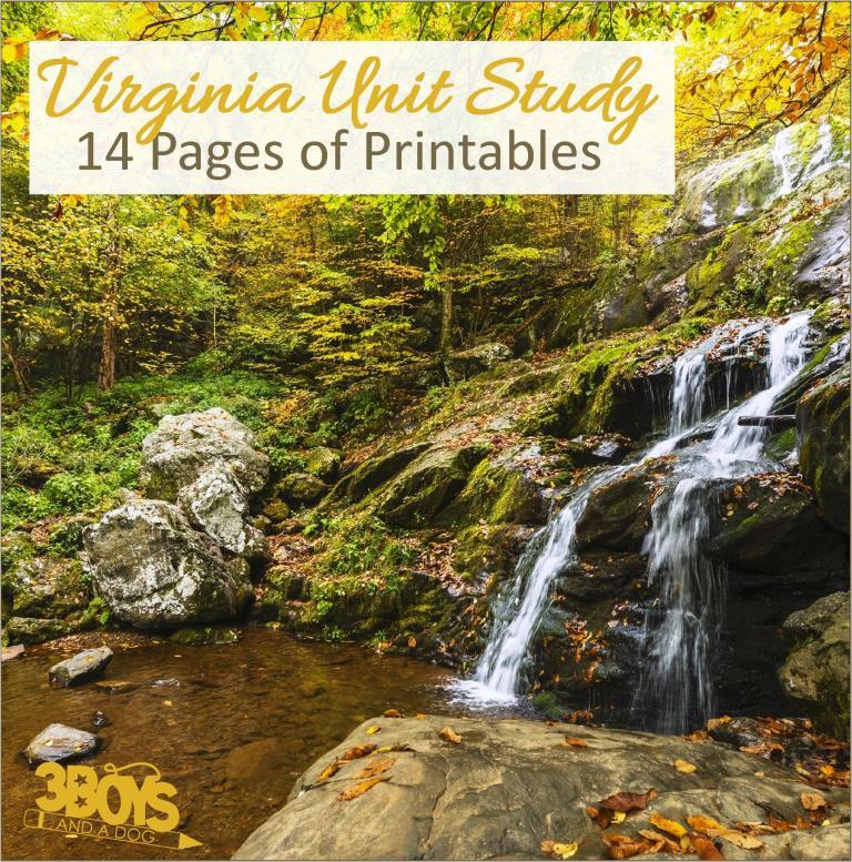 Virginia State Unit Study