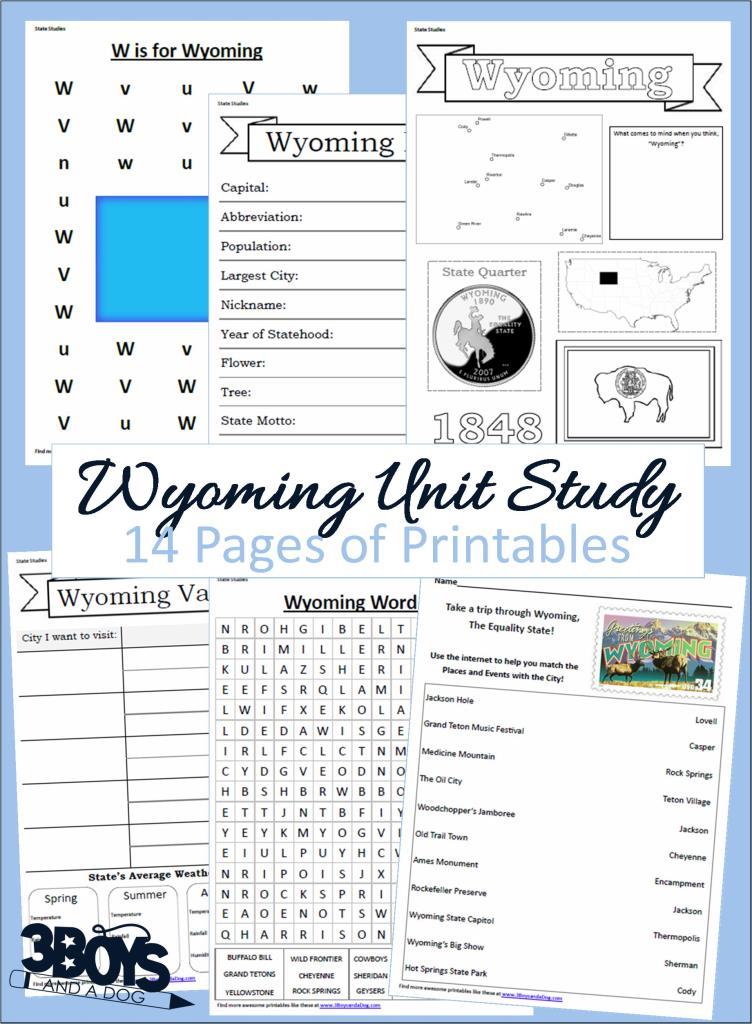 Wyoming State Unit Study