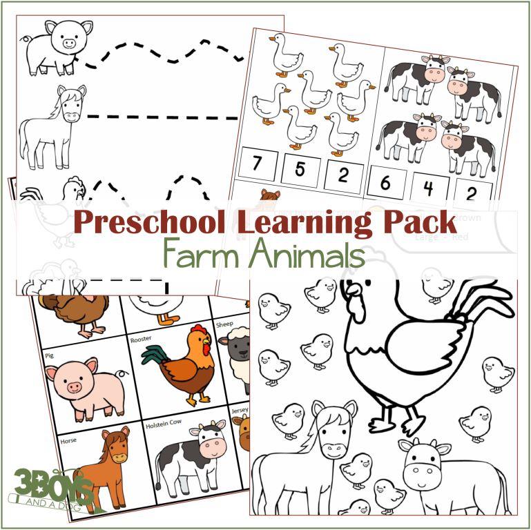 DISCOUNTED Farm Animals Learning Kit