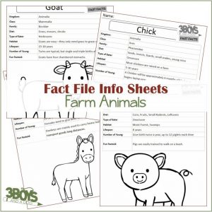 Fast Facts Farm Animals Informational Sheets