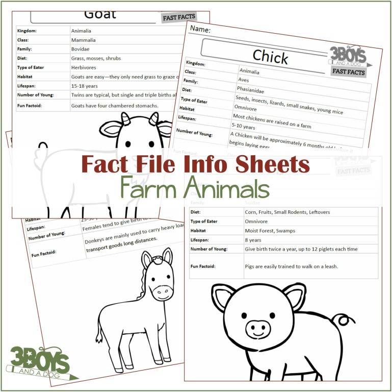 Farm Animals Fact Files - 3 Boys and a Dog, Shop