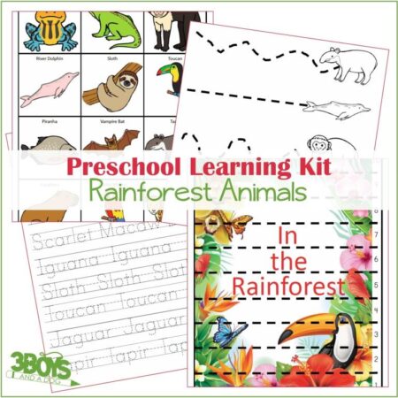 Rainforest Animals Learning Kit