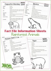 Fact File INfo Sheets about Rainforest Animals
