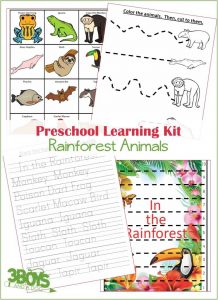 Preschool Learning Kit Rainforest Animals