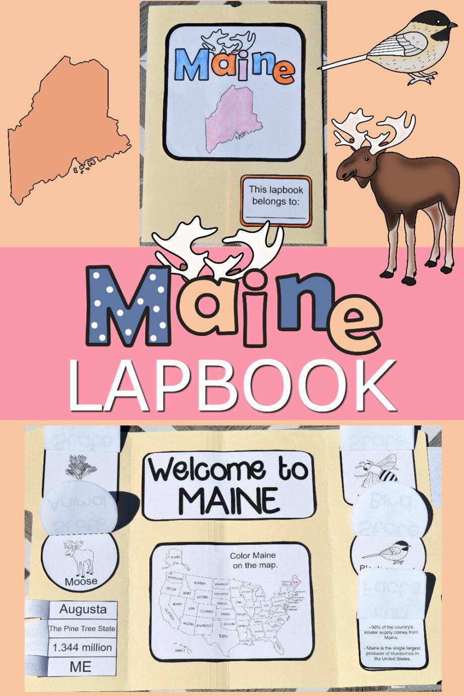 Maine Lapbook Elements