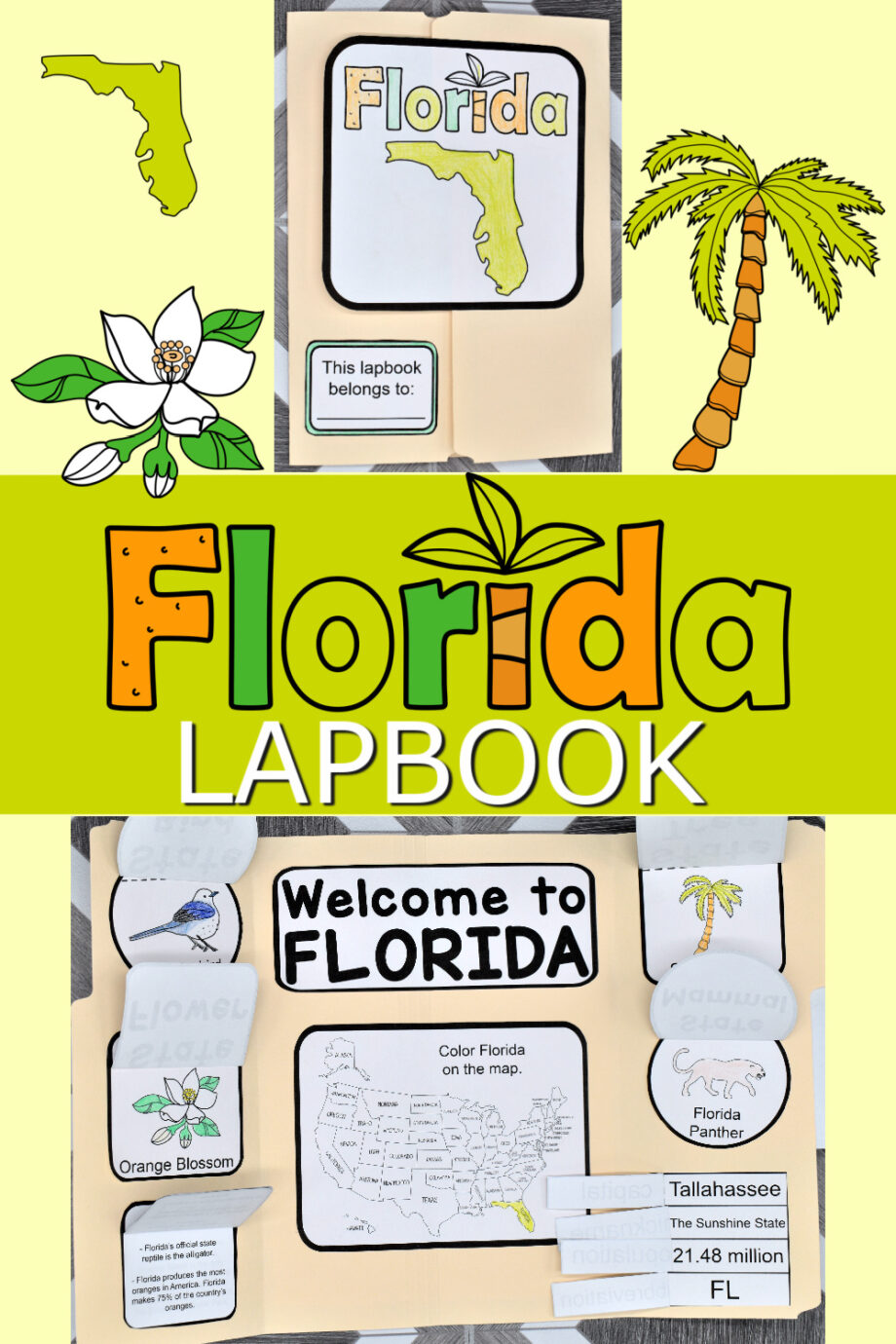 Florida Lapbook Elements