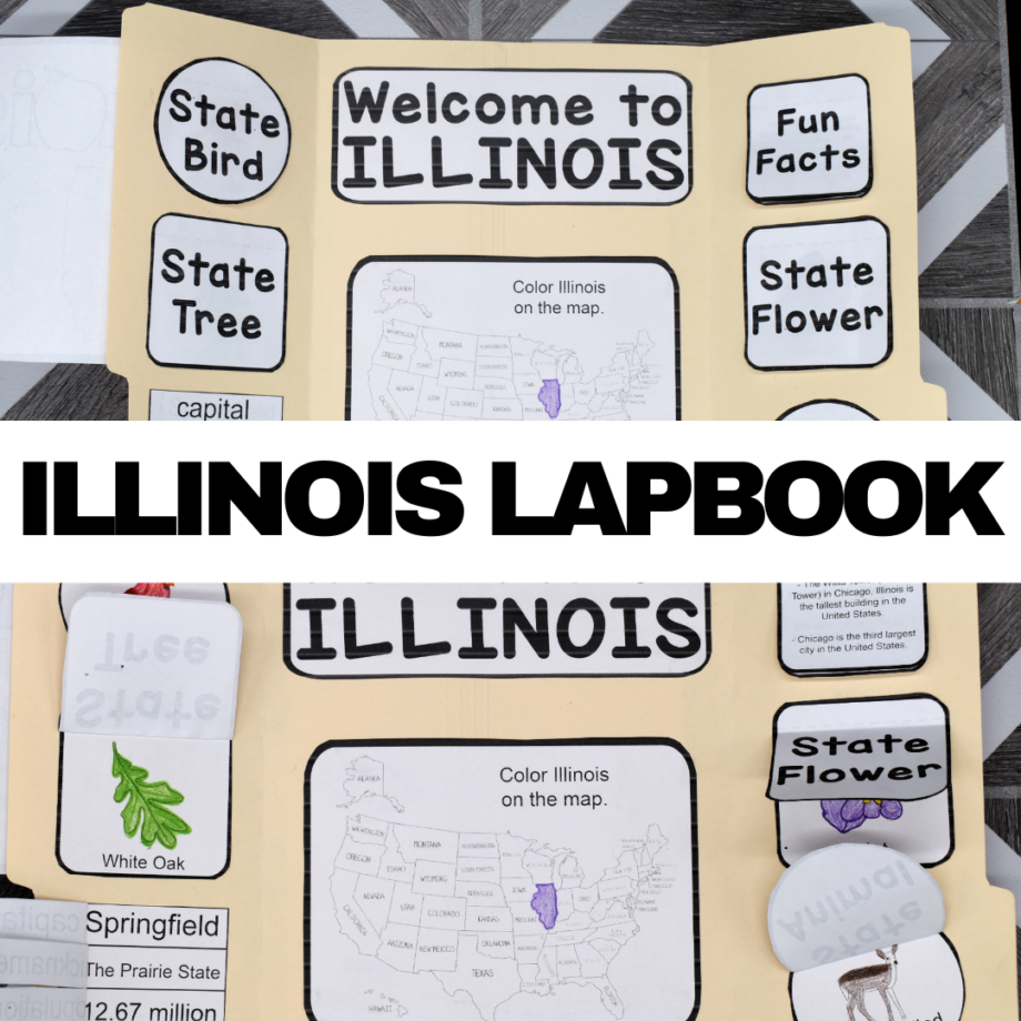 Illinois Lapbook Elements