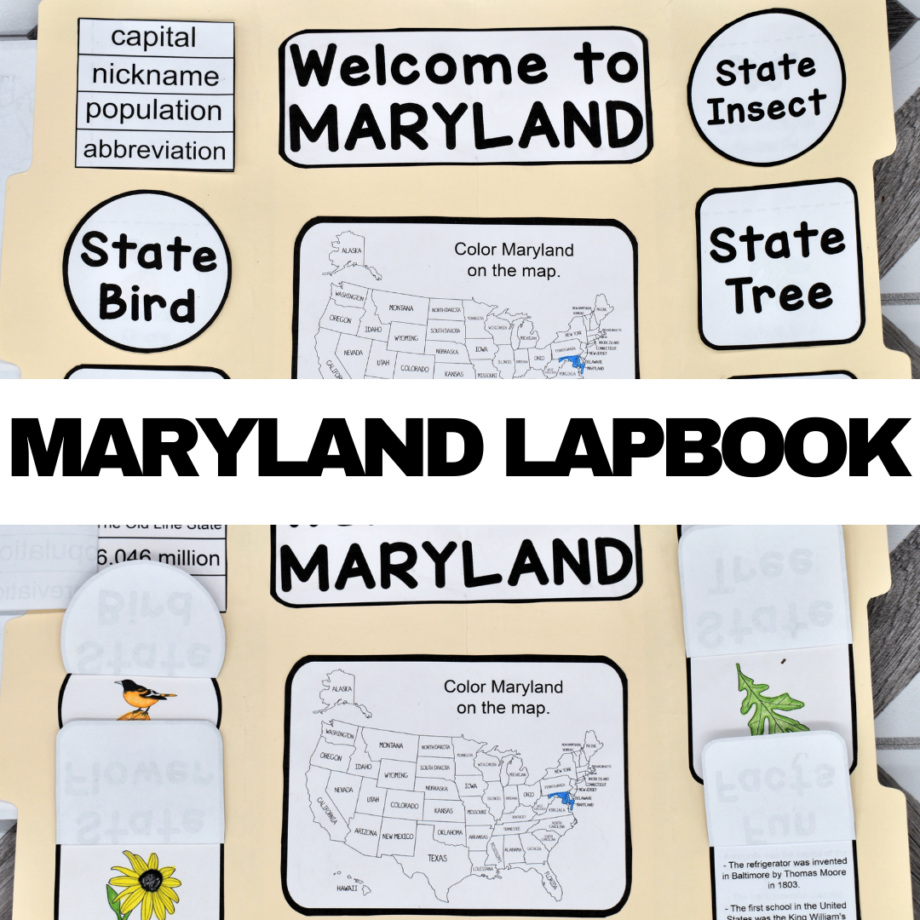 Maryland Lapbook Elements