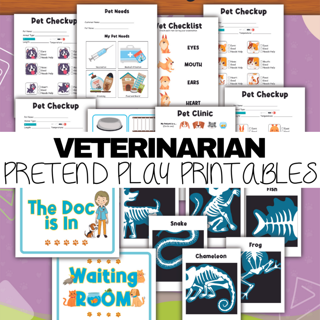 Pretend Play Vet Clinic - 3 Boys and a Dog, Shop