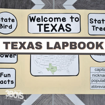 Texas Lapbook Elements
